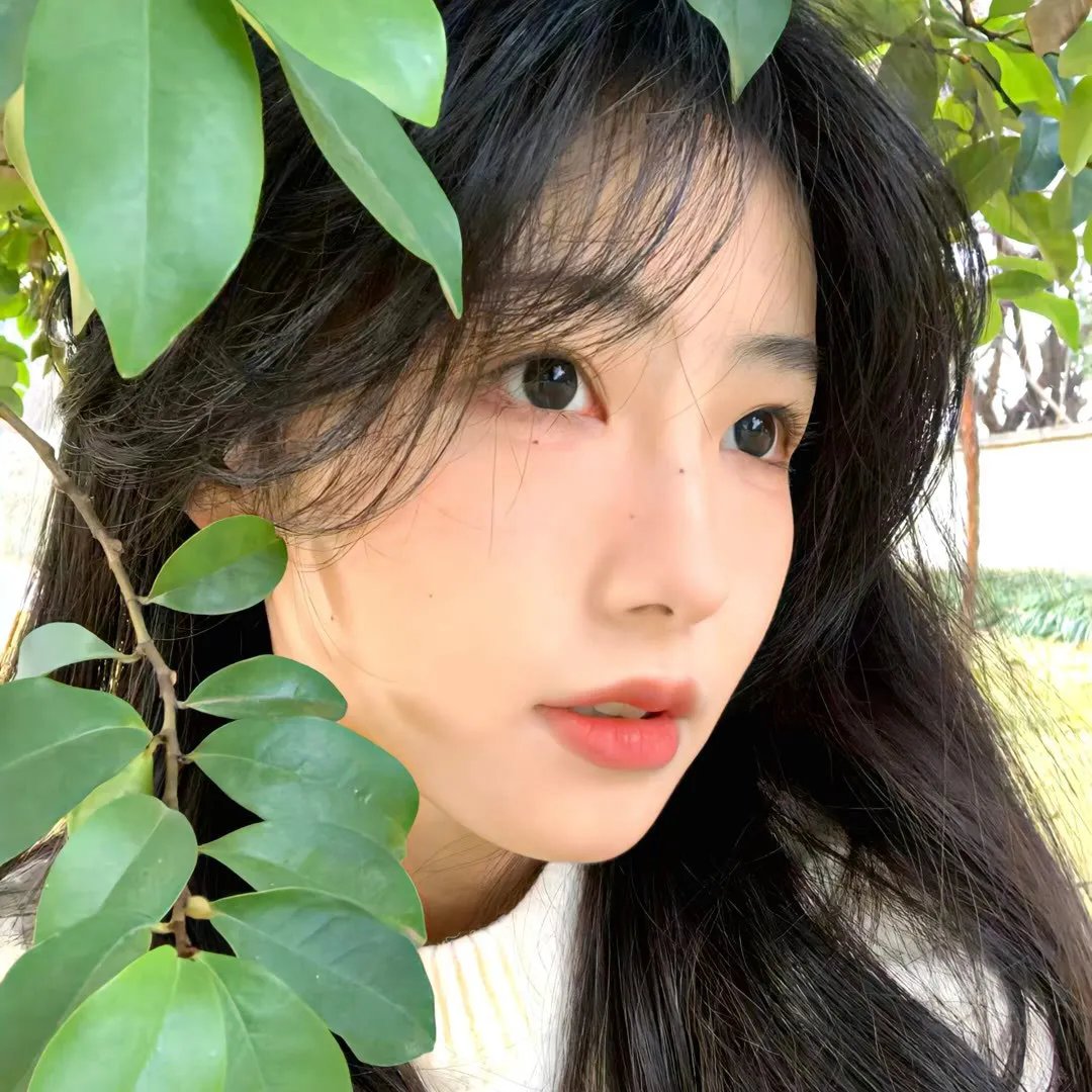 桃姐